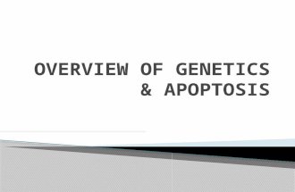 Overview of genetics & apoptosis