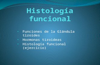 Histología funcional del Tiroides
