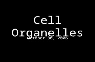 Cell Organelles Notes