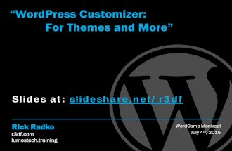 WordPress customizer: for themes and more