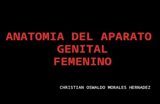 Anatomia del aparato genital femenino I