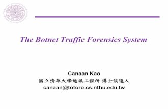 2012 the botnet traffic forensics system