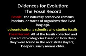 Evolution: Fossil Record Evidence