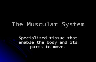 The muscular-system-powerpoint-1227697713114530-8