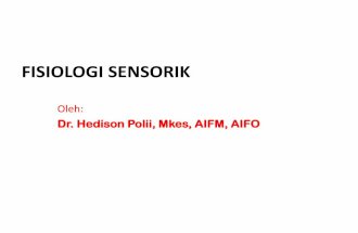 02. fisi sensorik gabung.pdf