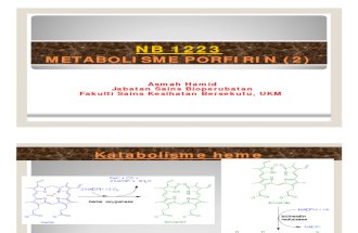 NB1223_-__Metabolisme_porfirin2