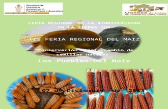 FERIA REGIONAL DE LA BIODIVERSIDAD EN LA SIERRA SUR.docx