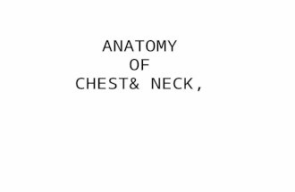 Anatomy of Chest & Neck Final