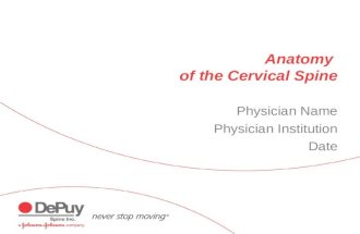 Cervical Anatomy