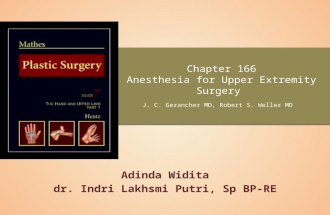 Chapter 166 Mathes Upper Extremity Anethesia