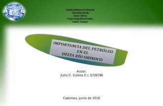 Importancia Del Petróleo en El Delta Río Orinoco