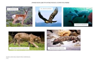 Fauna en Peligro de Extincion en El Estado de Sonora