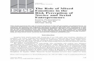 10-Role of Mixed Emotion in Risk Perception