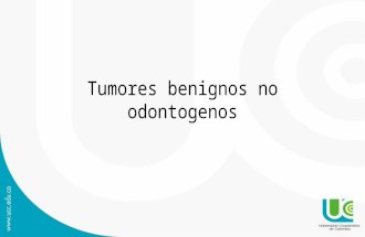 Tumores benignos no odontogenos.pptx
