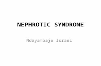 Nephrotic Syndrome - Notes