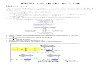 Anabolisme Dan Katabolisme