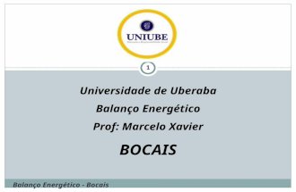 BOCAIS - UNIUBE