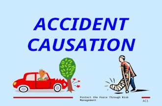 Accident Causation
