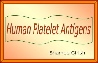human platelet antigen.ppt