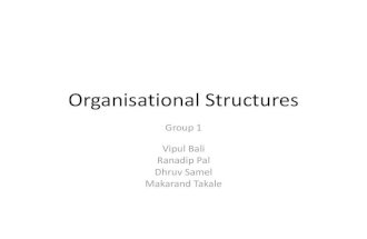 Organisational Structures v0.2