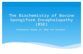 The Biochemistry of Bovine Spongiform Encephalopathy.pptx