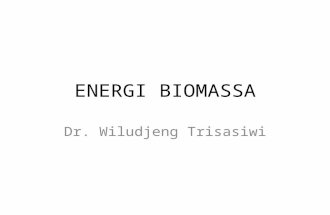 Energi Biomassa.pptx