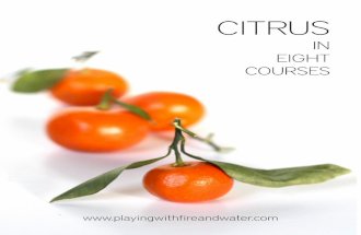 CITRUS+in+8+courses.pdf