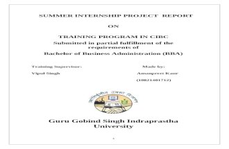Summer Internship Project ReportTRAINING PROGRAM IN CIBC