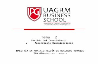 4.-Tema 2.Gestion Del Conocimiento y Aprendizaje Organizacional