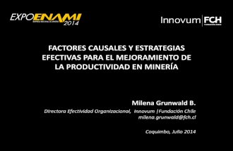 Productividad Miner_ Milena Grunwald