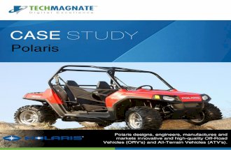 Automotive SEM Case Study for Polaris India