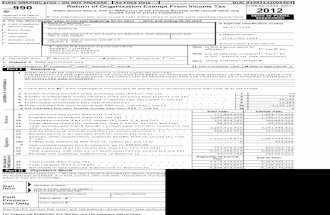 UChicago IRS 990 (2012)