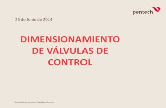 CURSO DE VALVULA GERARDO4.pdf