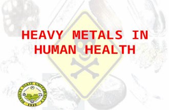 HEAVY METALS IN HUMAN HEALTH.pptx