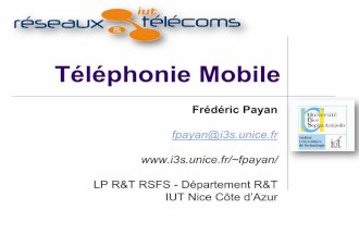 LP 1 Telephonie Mobile GSM