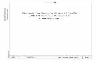 Dimensioning Rules for CS and PS Traffic.pdf