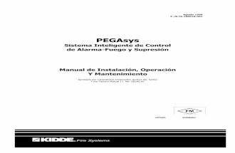PEGAsys Manual en español.pdf