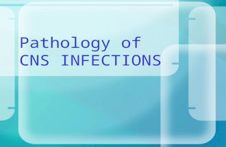 CNS Infections PATHO