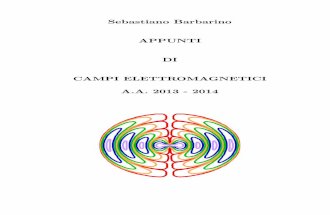 Campi Elettromagnetici