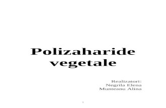 Polizaharide-vegetale