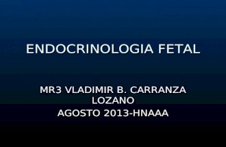 EXPO endocrinologia fetal.ppt