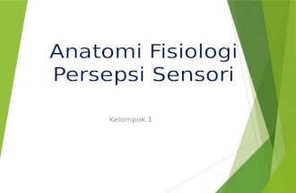 Anatomi Fisiologi Persepsi Sensori.pptx