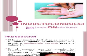 inductoconduccion1