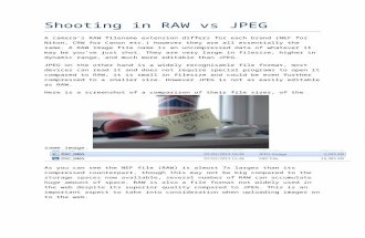 Shooting in RAW vs JPEG