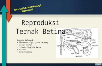 PPT Tugas BIOTEK REPRO (Reproduksi Betina) (1).pptx