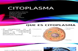 Cito Plasma - biologia