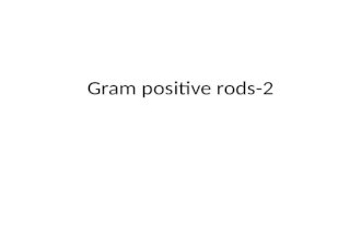 MICROBIOLOGY Gram Positive Rods-2