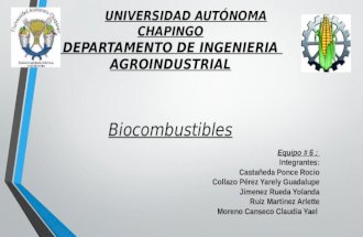 Pp Biocombustibles
