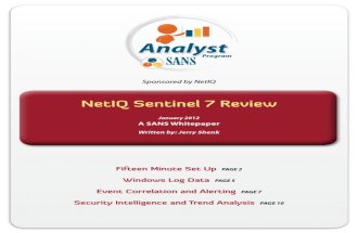 Netiq Sentinel 7 Review