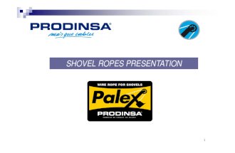Presentacion Palex Prodinsa English 2011